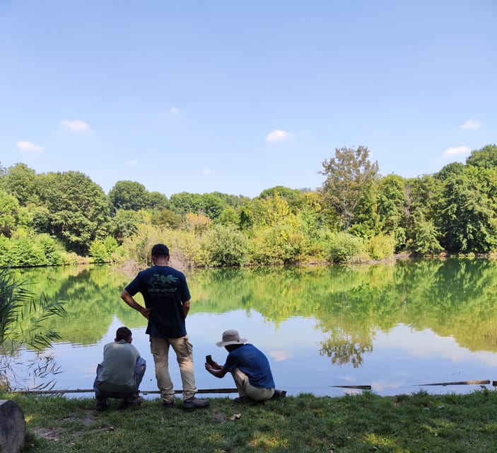 Trekking in the Wood with picnic on the turtles lake - Timing, access, and practical details