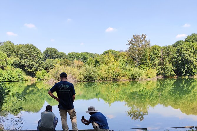 Trekking in the Wood with picnic on the turtles lake - Should you book the Boscoincittà walk?